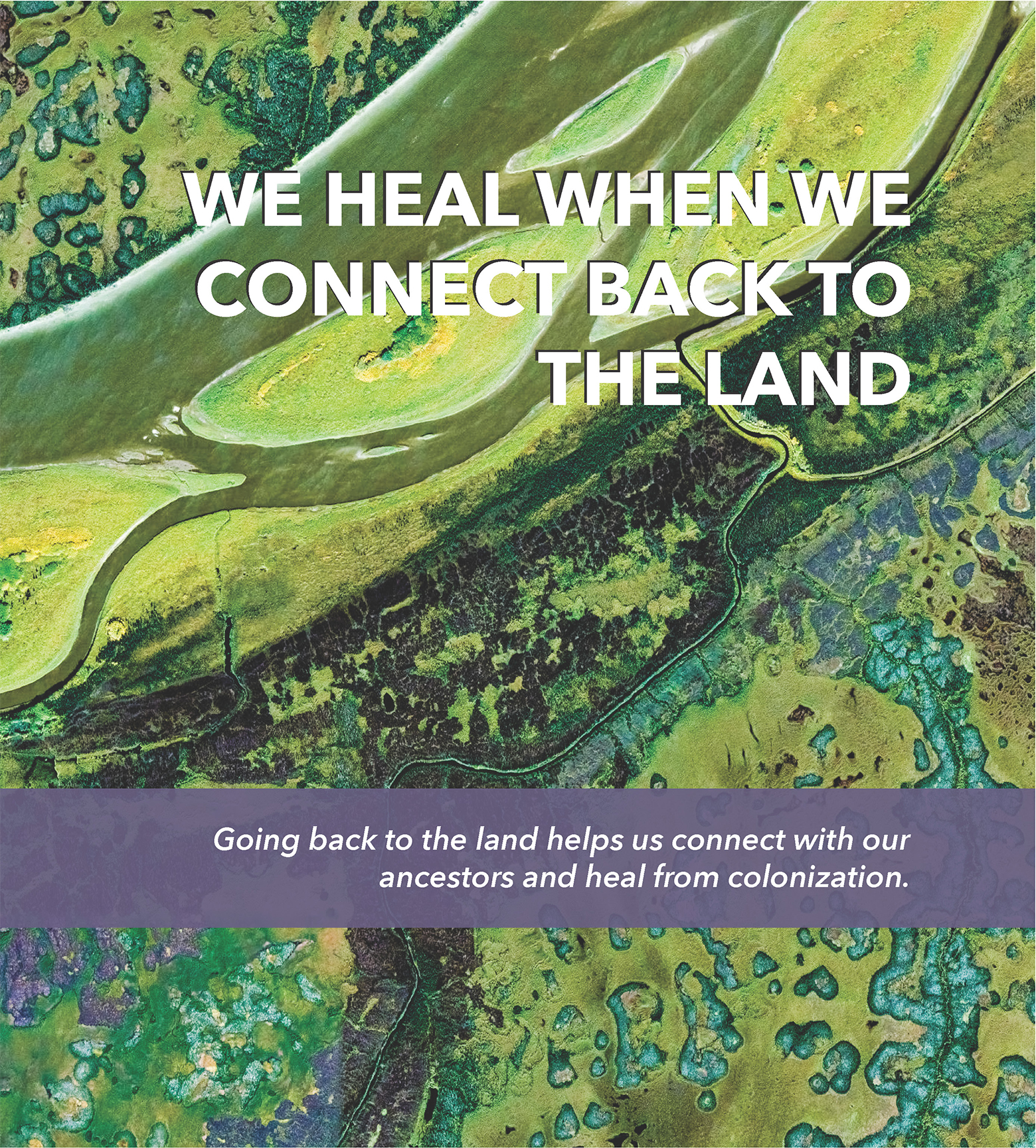 WE HEAL WHEN WE CONNECT BACK TO THE LAND